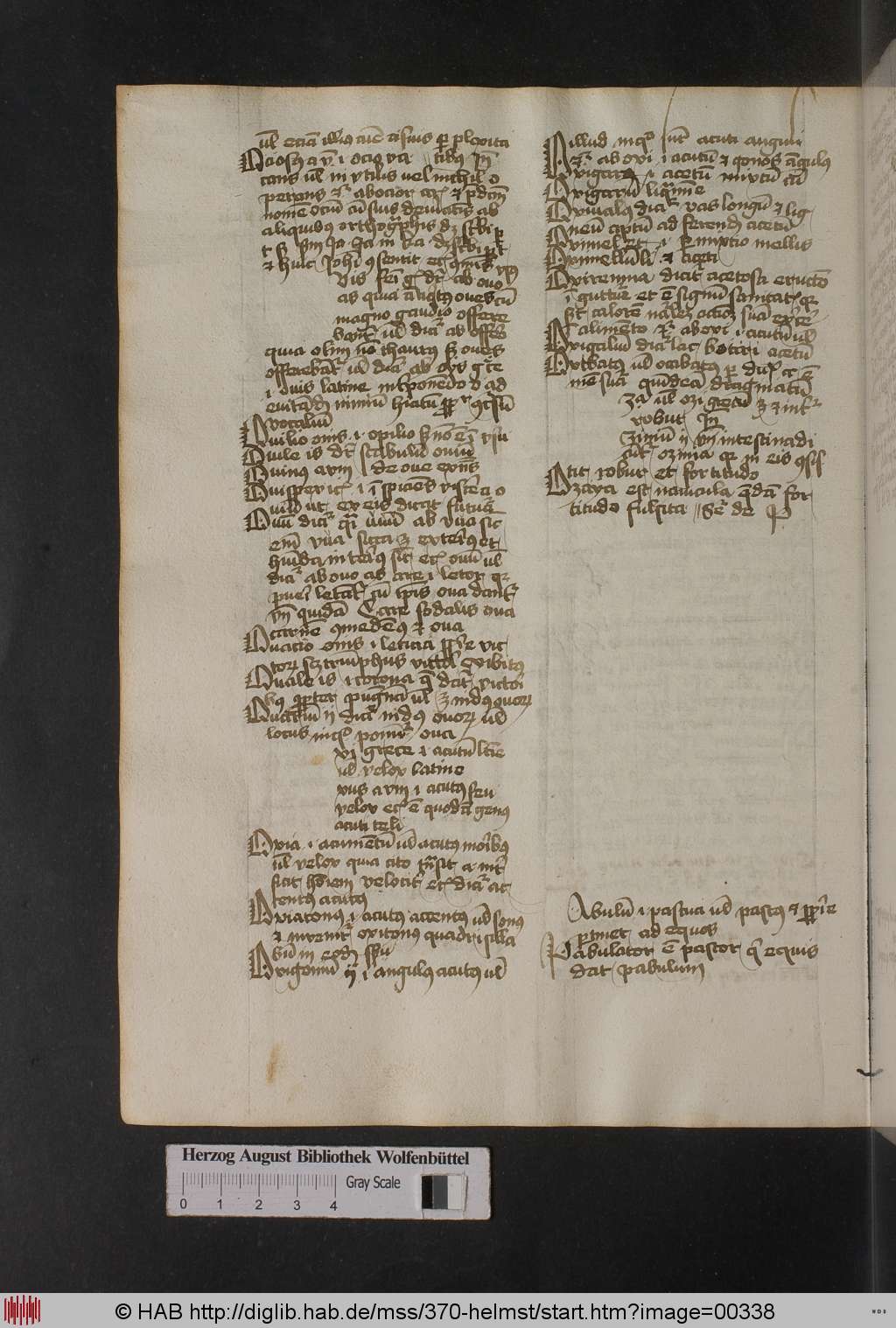 http://diglib.hab.de/mss/370-helmst/00338.jpg