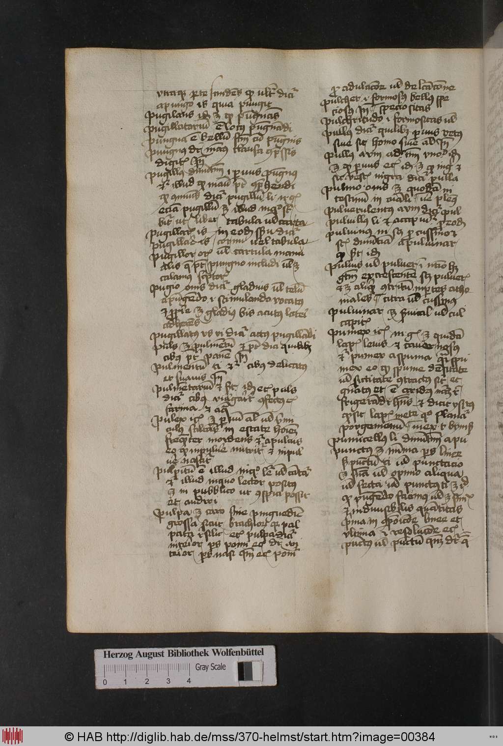 http://diglib.hab.de/mss/370-helmst/00384.jpg