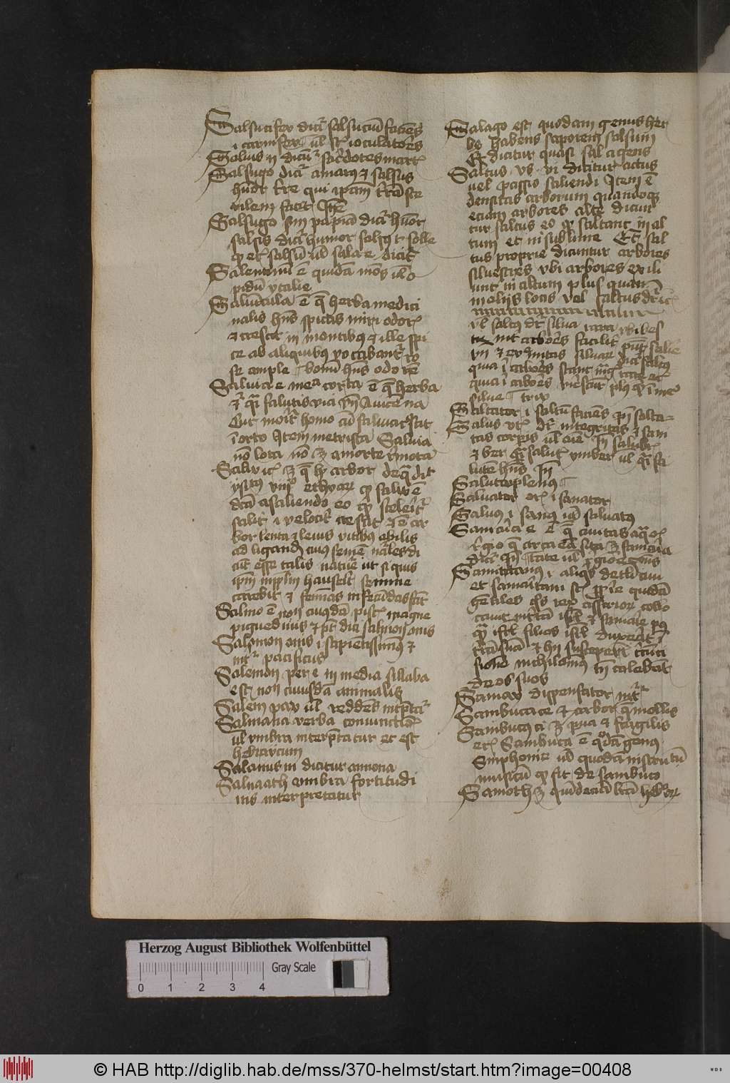 http://diglib.hab.de/mss/370-helmst/00408.jpg