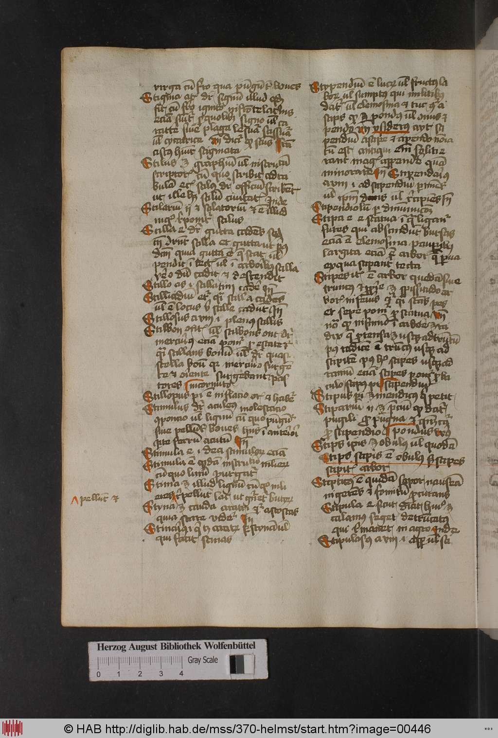 http://diglib.hab.de/mss/370-helmst/00446.jpg