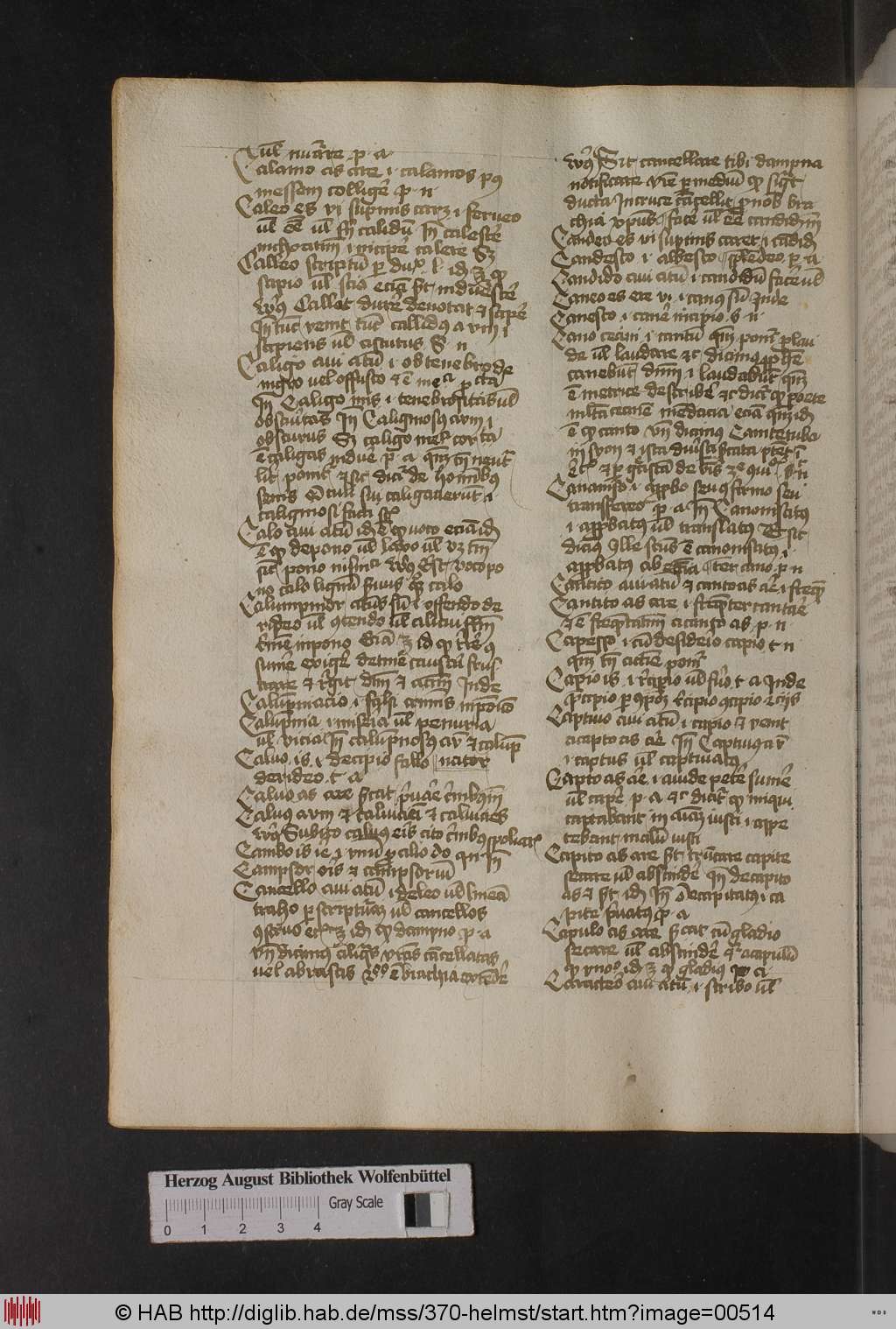 http://diglib.hab.de/mss/370-helmst/00514.jpg