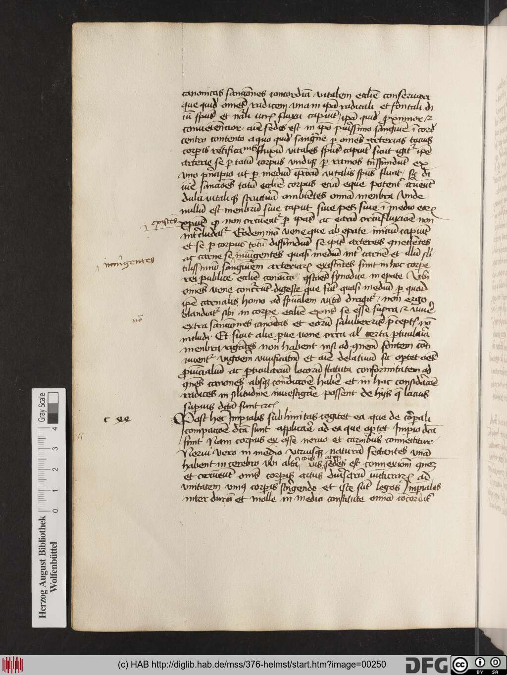 http://diglib.hab.de/mss/376-helmst/00250.jpg