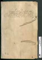 Cod. Guelf. 38.19 Aug. 2° — Journael vande Brasiliske reyse by den Vice-Admirael Pieter Hayn — , 1624-1625