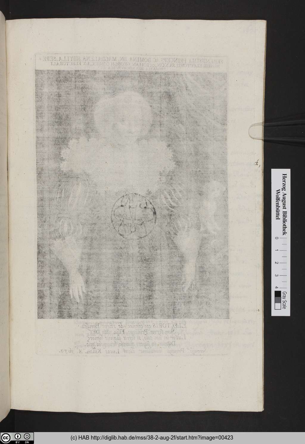 http://diglib.hab.de/mss/38-2-aug-2f/00423.jpg