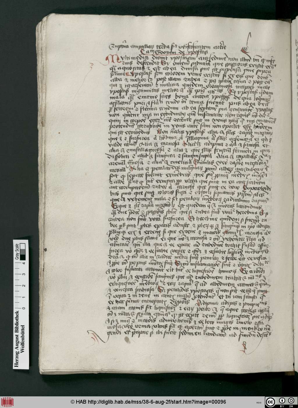 http://diglib.hab.de/mss/38-6-aug-2f/00096.jpg