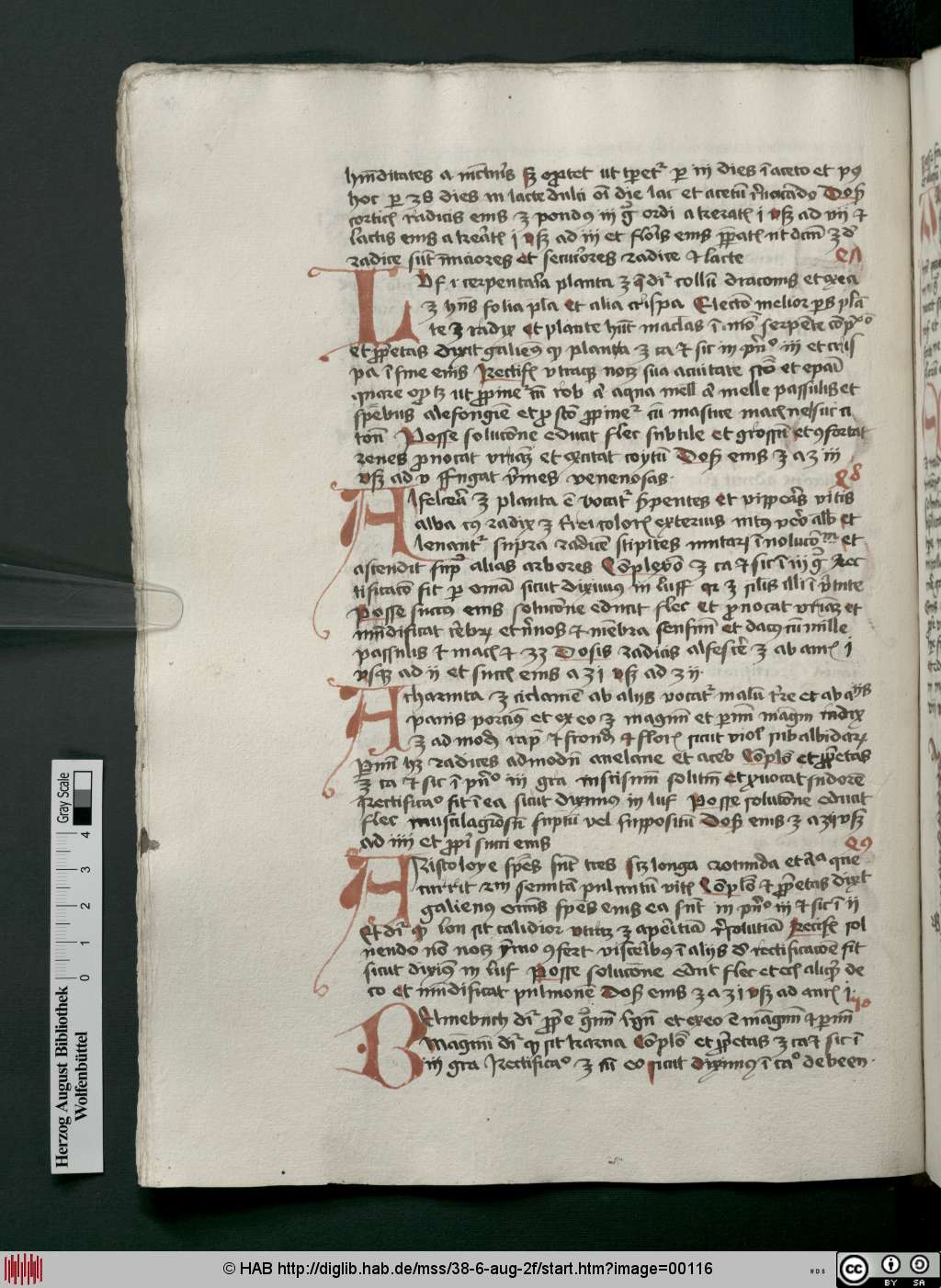 http://diglib.hab.de/mss/38-6-aug-2f/00116.jpg