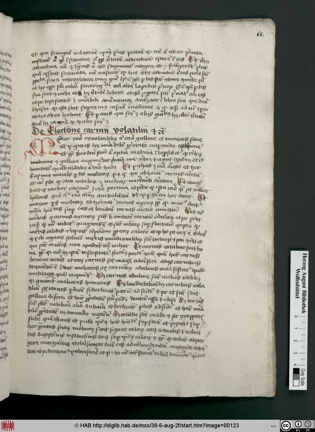 http://diglib.hab.de/mss/38-6-aug-2f/00123.jpg