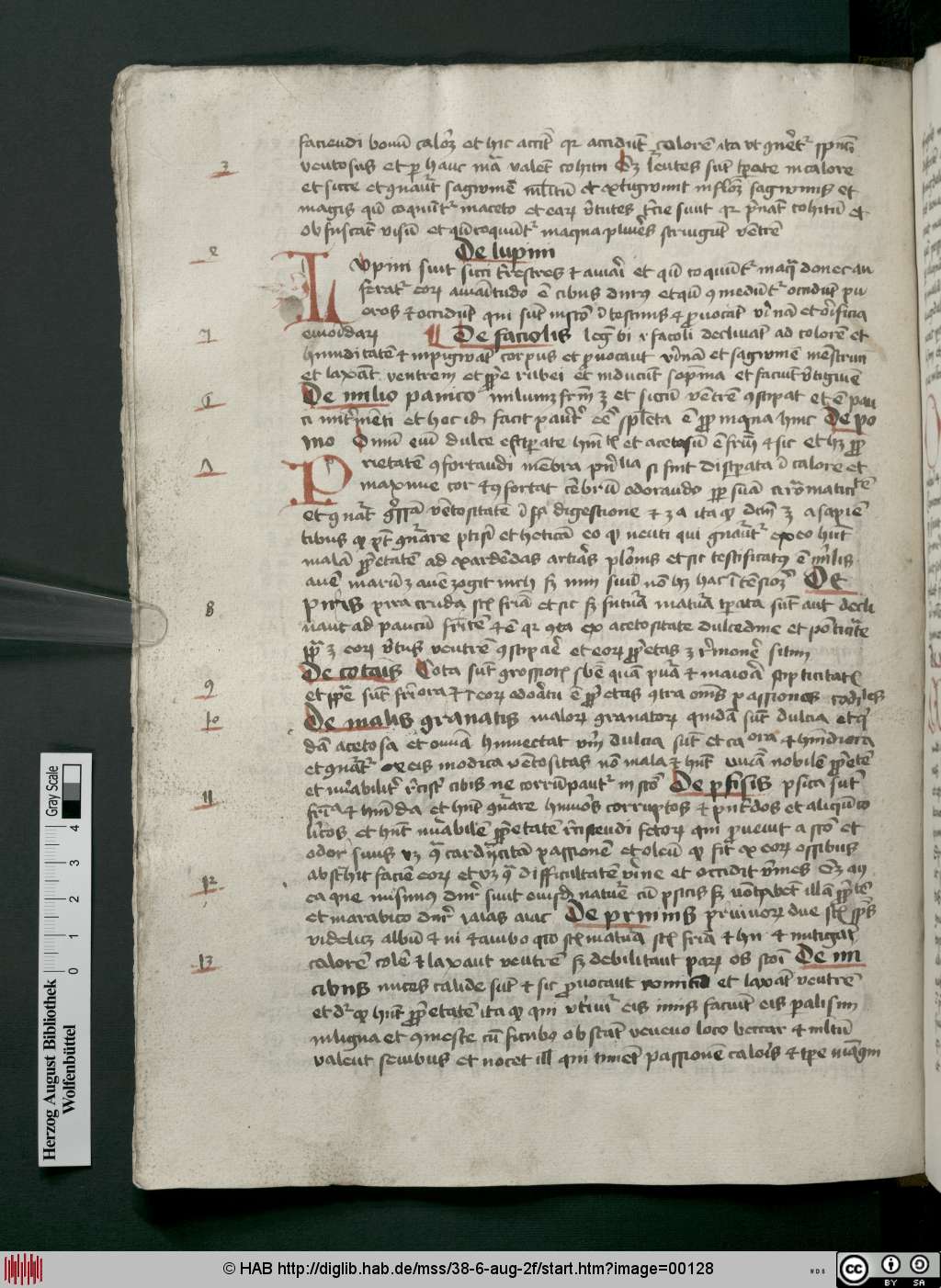 http://diglib.hab.de/mss/38-6-aug-2f/00128.jpg