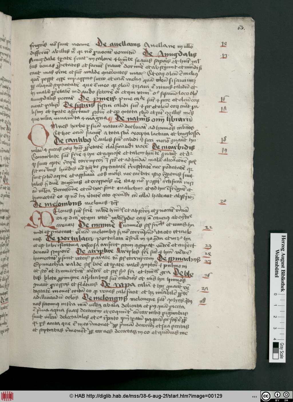 http://diglib.hab.de/mss/38-6-aug-2f/00129.jpg