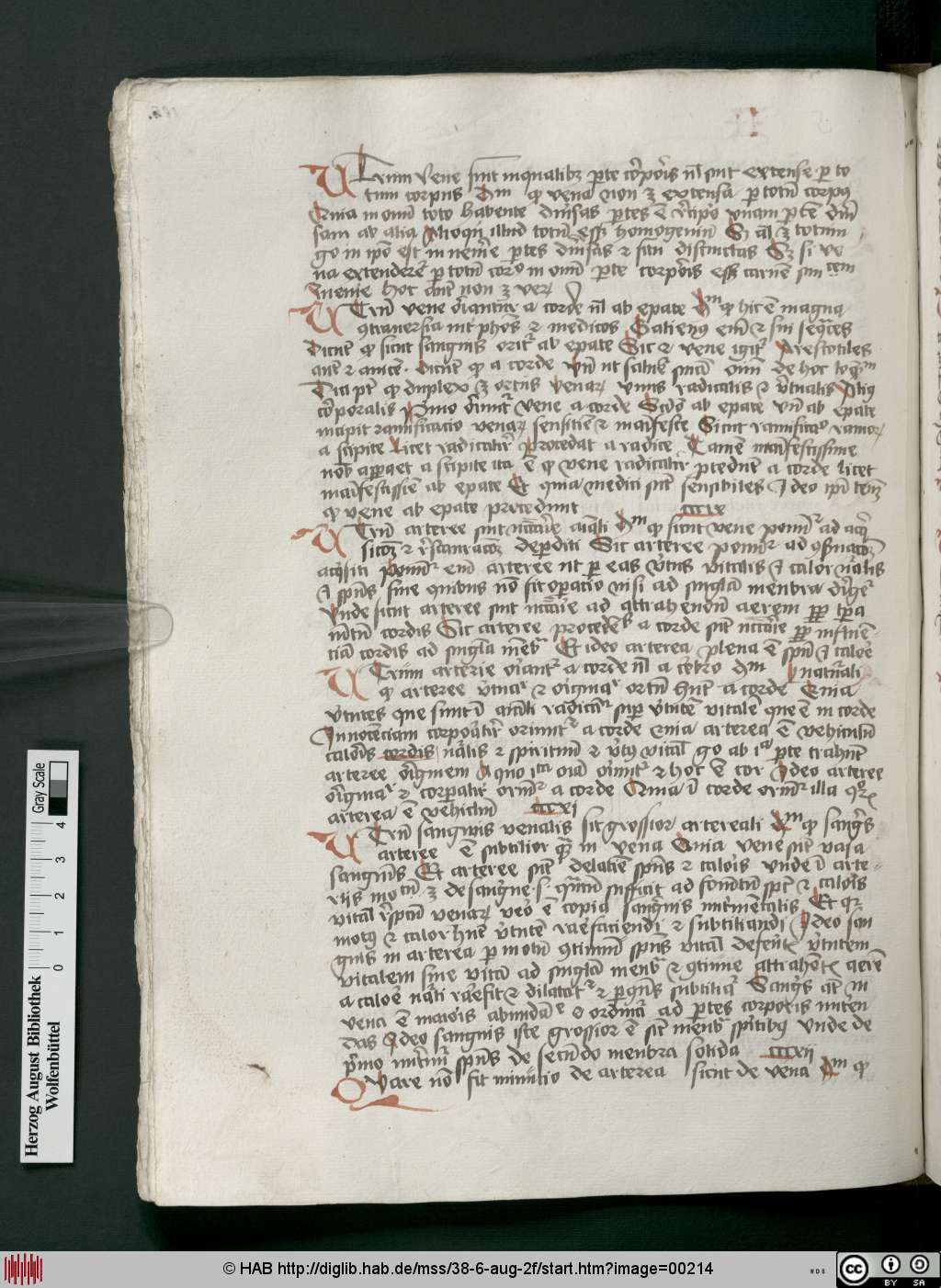 http://diglib.hab.de/mss/38-6-aug-2f/00214.jpg