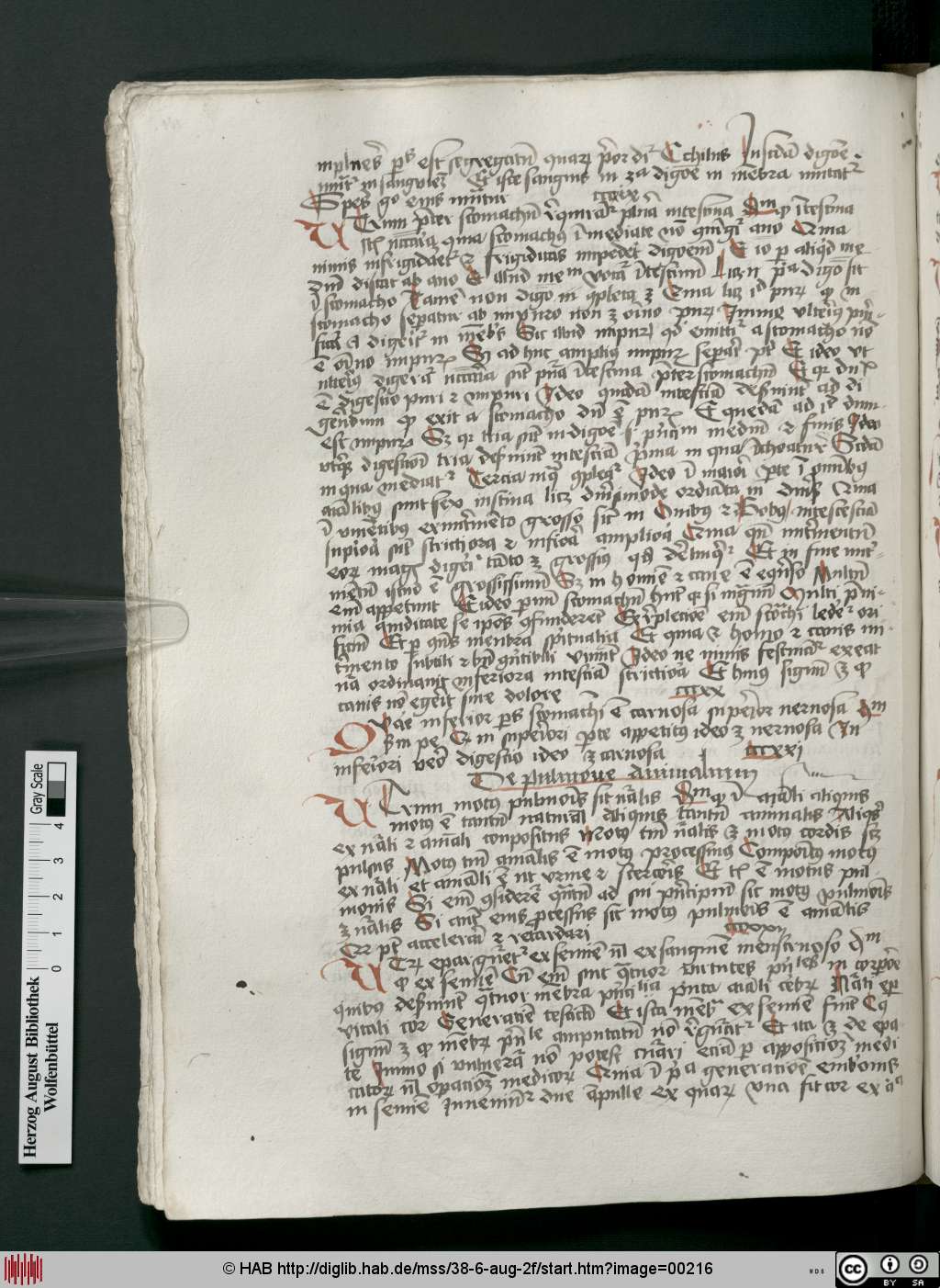 http://diglib.hab.de/mss/38-6-aug-2f/00216.jpg
