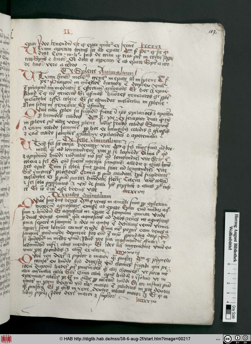 http://diglib.hab.de/mss/38-6-aug-2f/00217.jpg