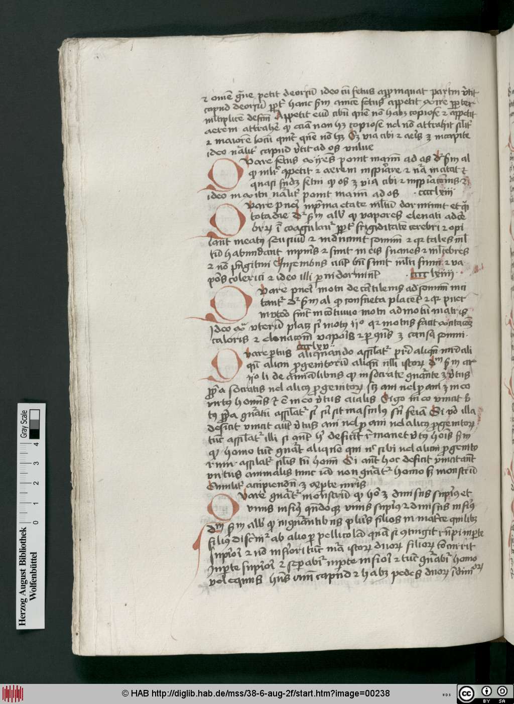 http://diglib.hab.de/mss/38-6-aug-2f/00238.jpg