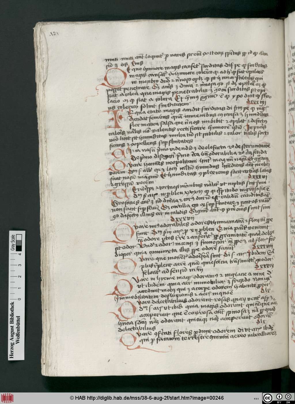 http://diglib.hab.de/mss/38-6-aug-2f/00246.jpg