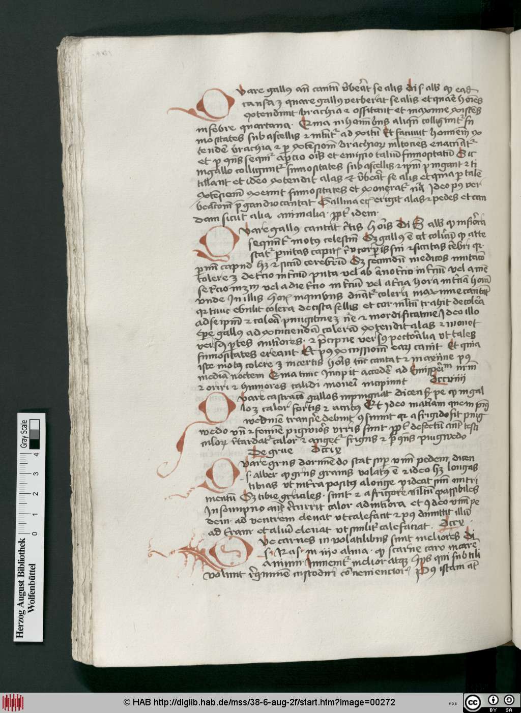 http://diglib.hab.de/mss/38-6-aug-2f/00272.jpg