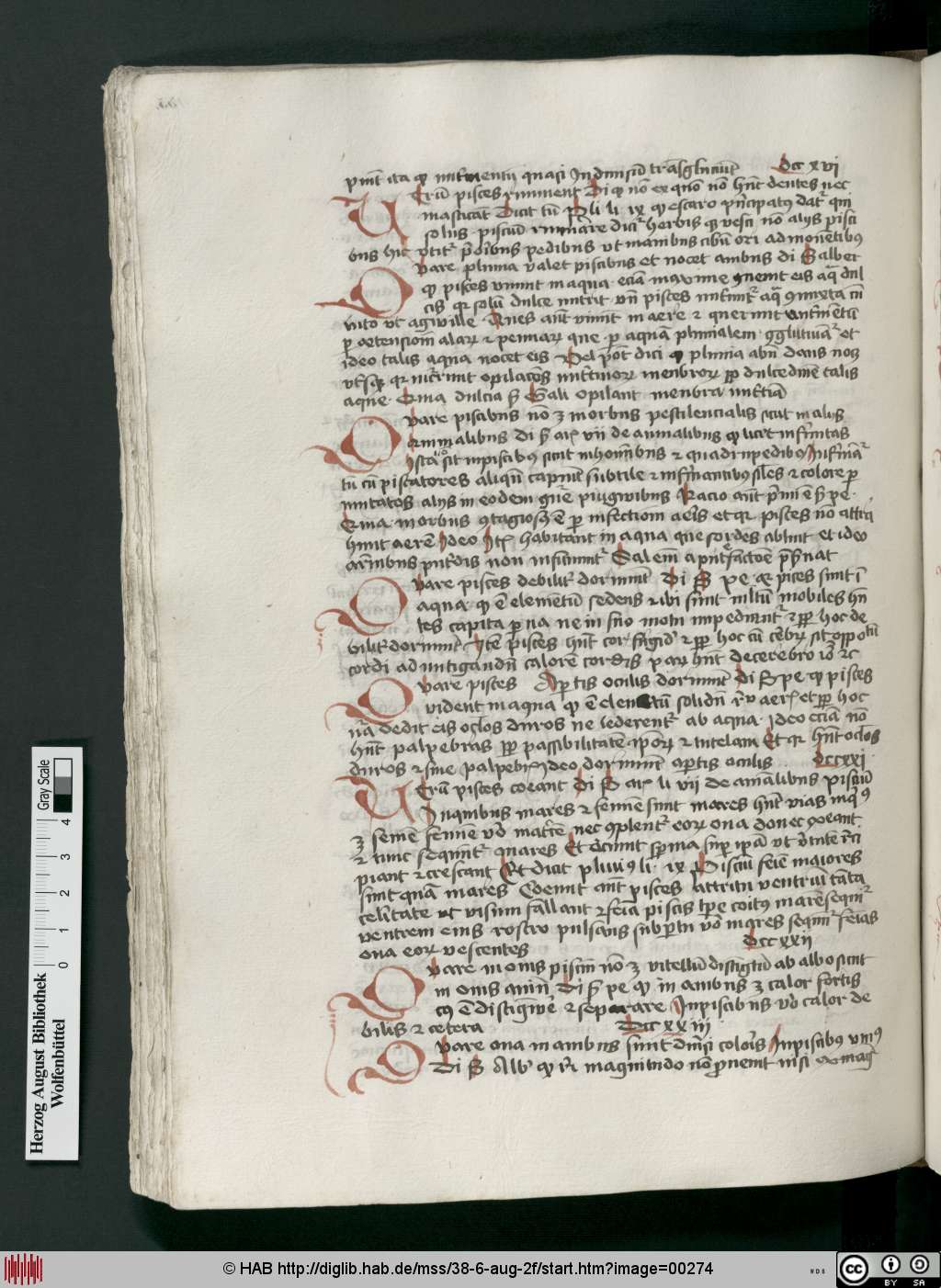 http://diglib.hab.de/mss/38-6-aug-2f/00274.jpg