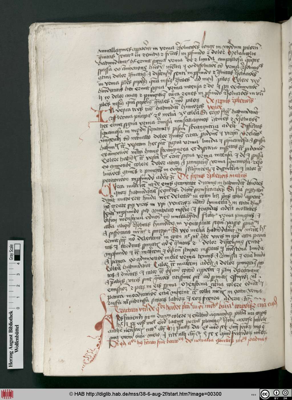 http://diglib.hab.de/mss/38-6-aug-2f/00300.jpg