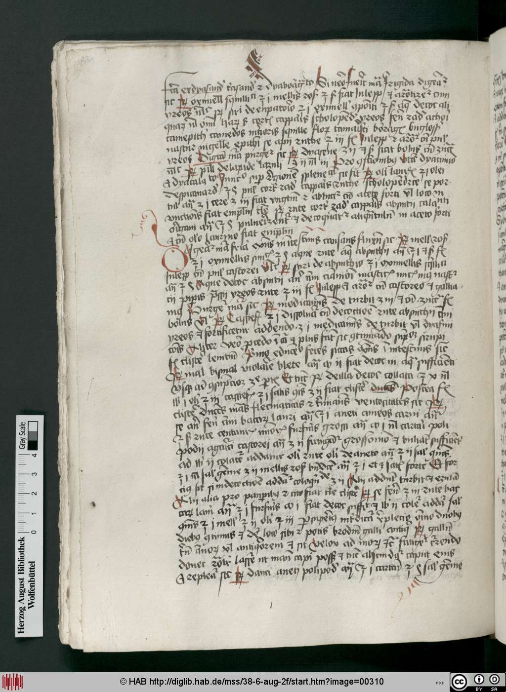 http://diglib.hab.de/mss/38-6-aug-2f/00310.jpg