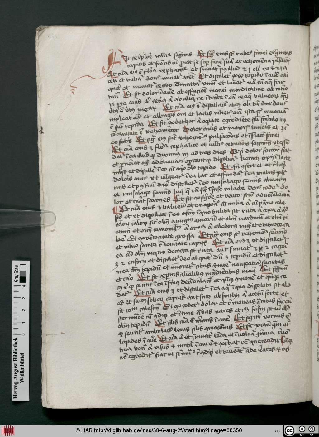 http://diglib.hab.de/mss/38-6-aug-2f/00350.jpg