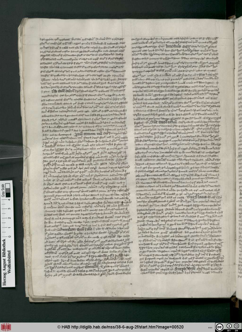 http://diglib.hab.de/mss/38-6-aug-2f/00520.jpg