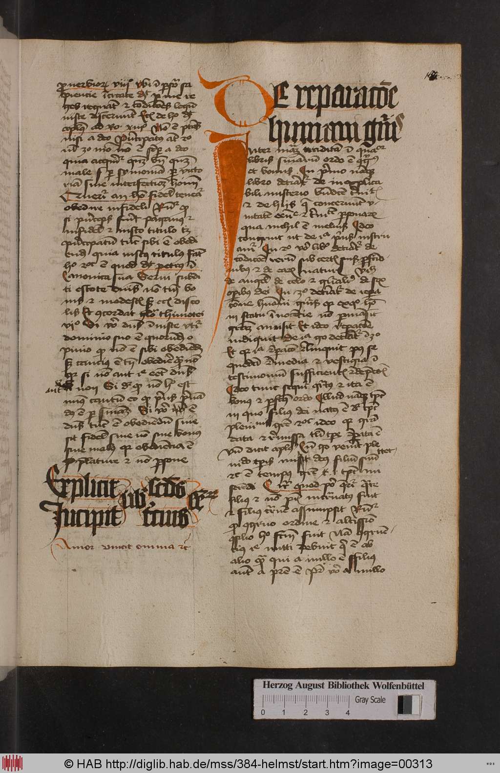 http://diglib.hab.de/mss/384-helmst/00313.jpg