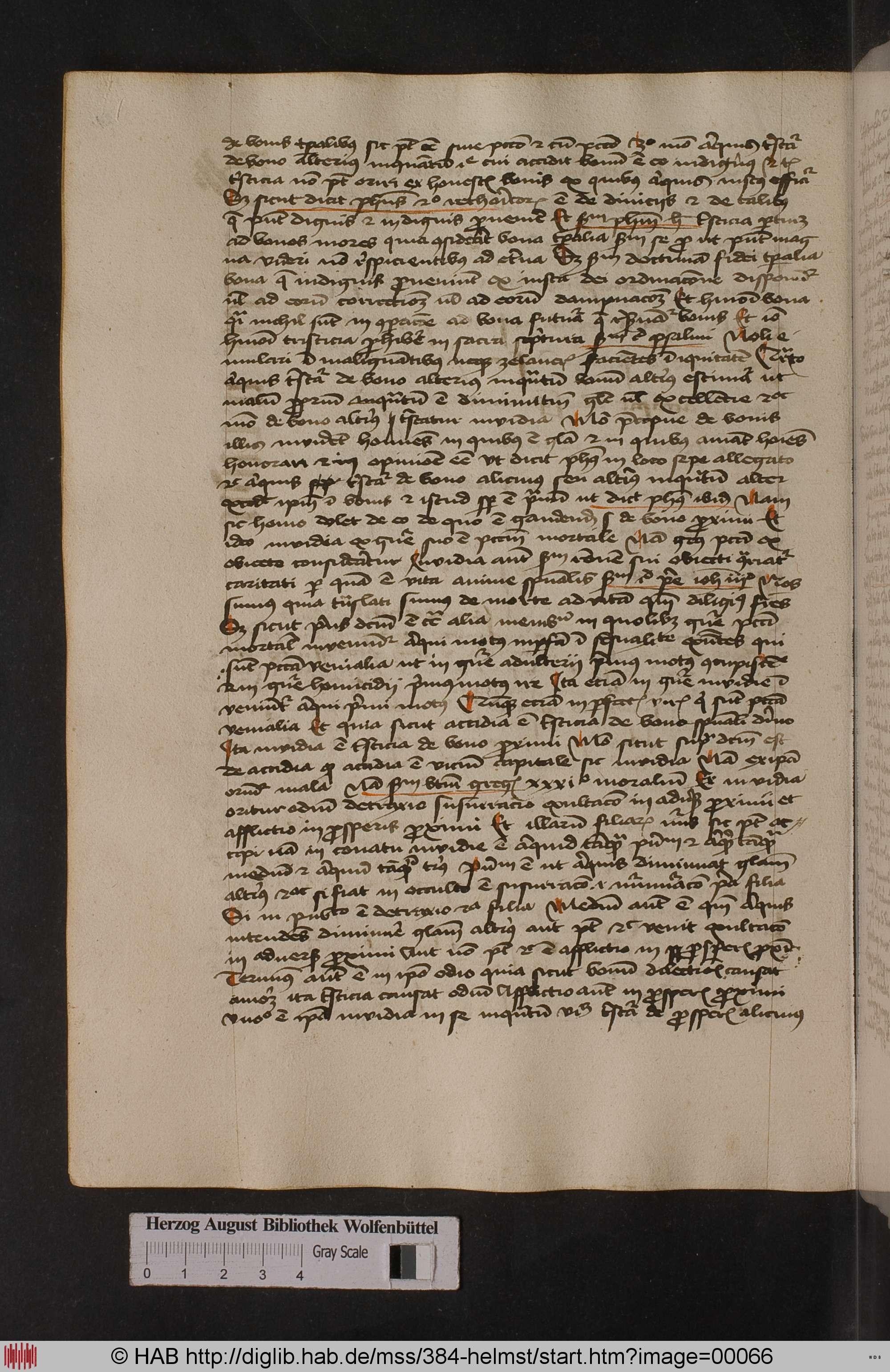 http://diglib.hab.de/mss/384-helmst/max/00066.jpg