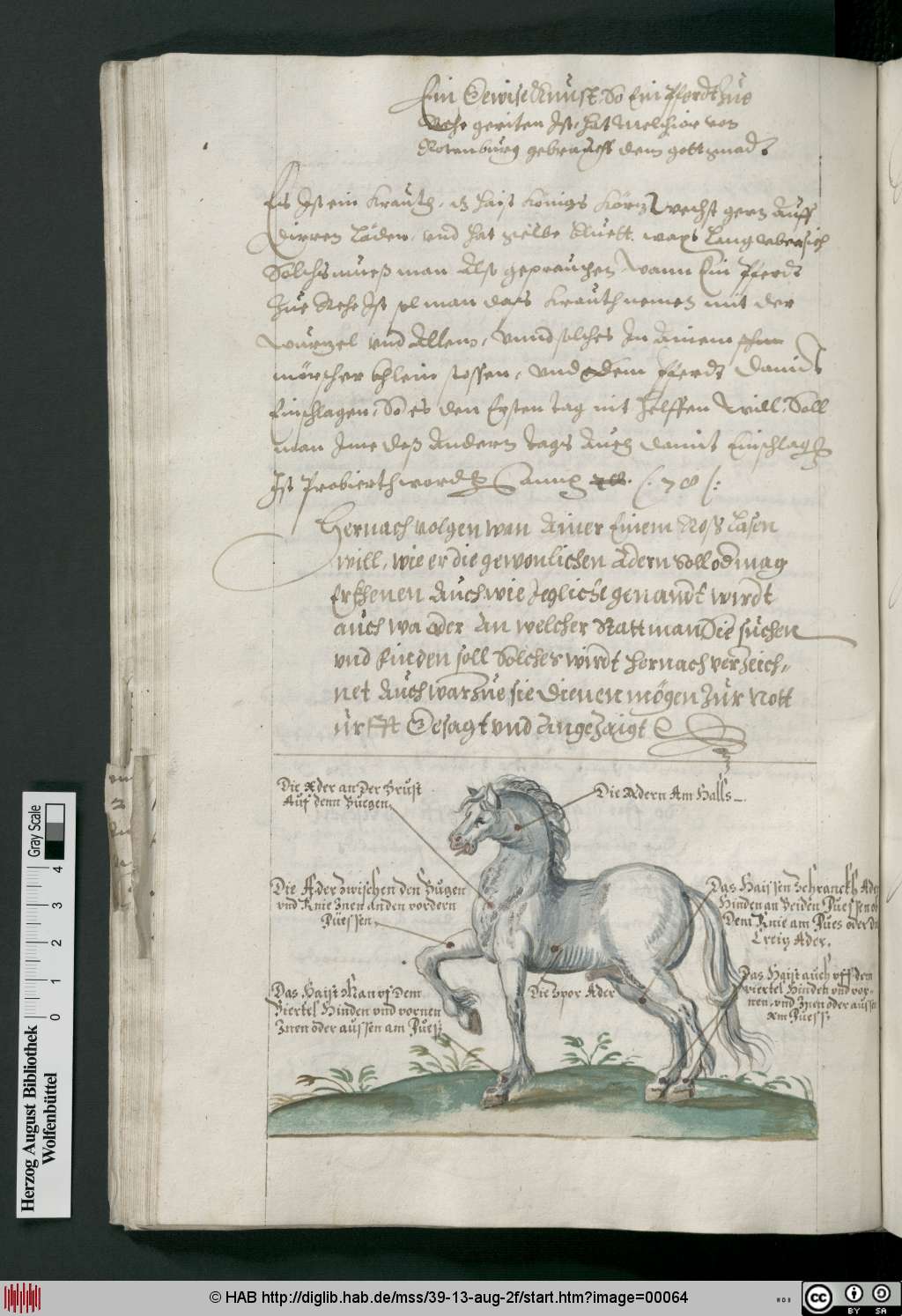 http://diglib.hab.de/mss/39-13-aug-2f/00064.jpg