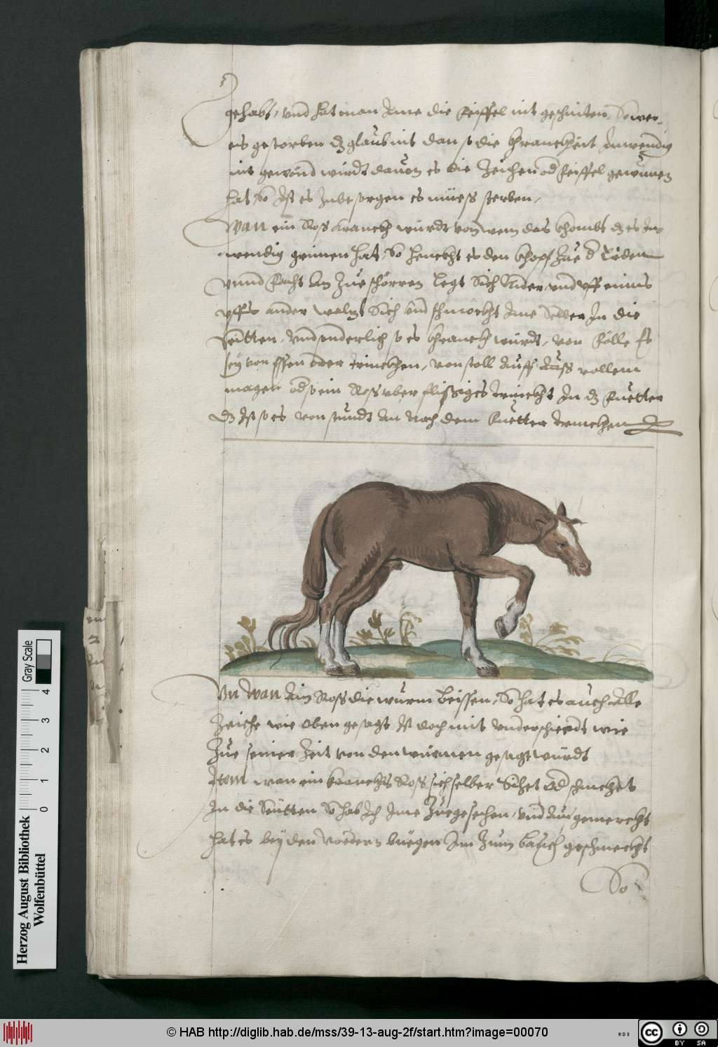 http://diglib.hab.de/mss/39-13-aug-2f/00070.jpg