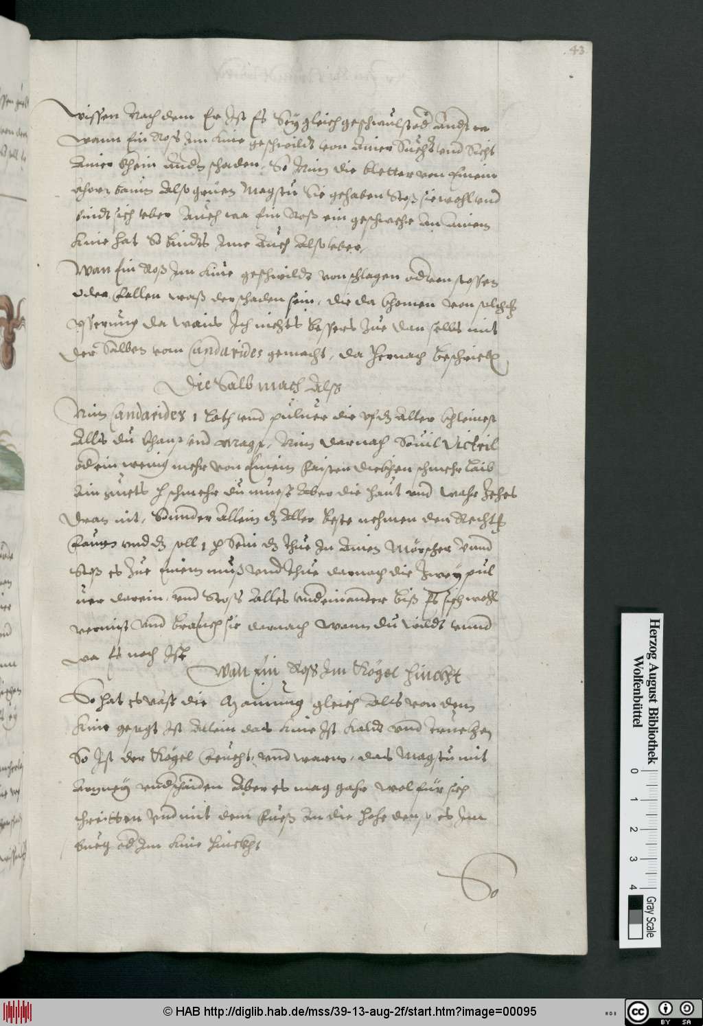 http://diglib.hab.de/mss/39-13-aug-2f/00095.jpg