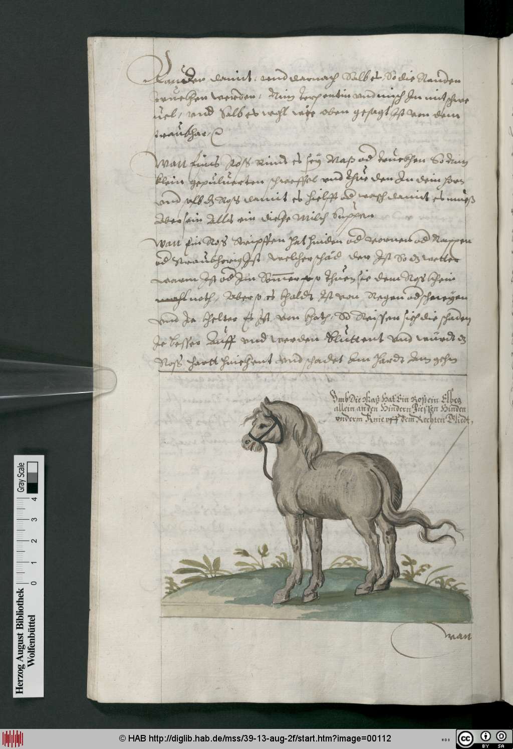 http://diglib.hab.de/mss/39-13-aug-2f/00112.jpg