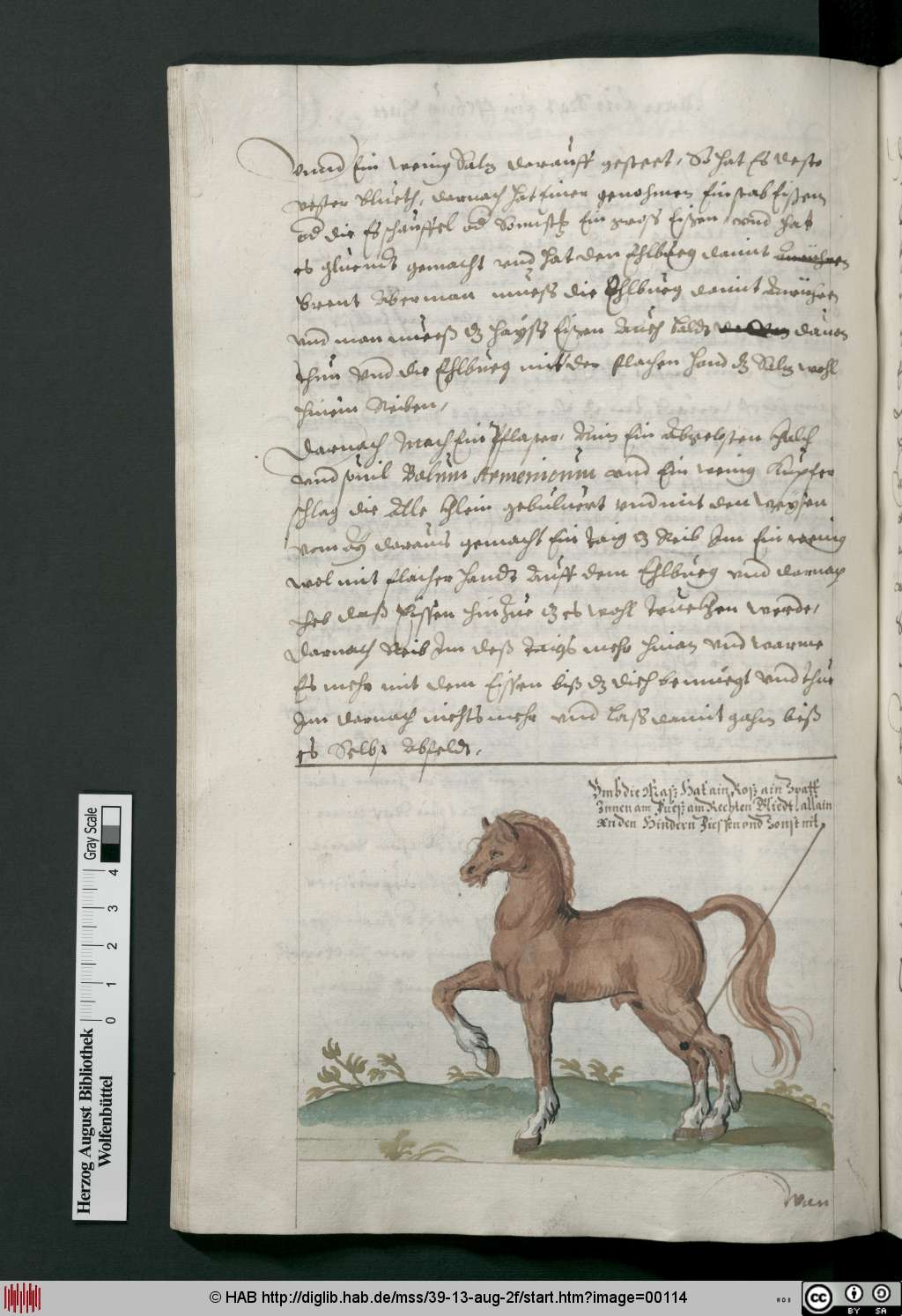 http://diglib.hab.de/mss/39-13-aug-2f/00114.jpg