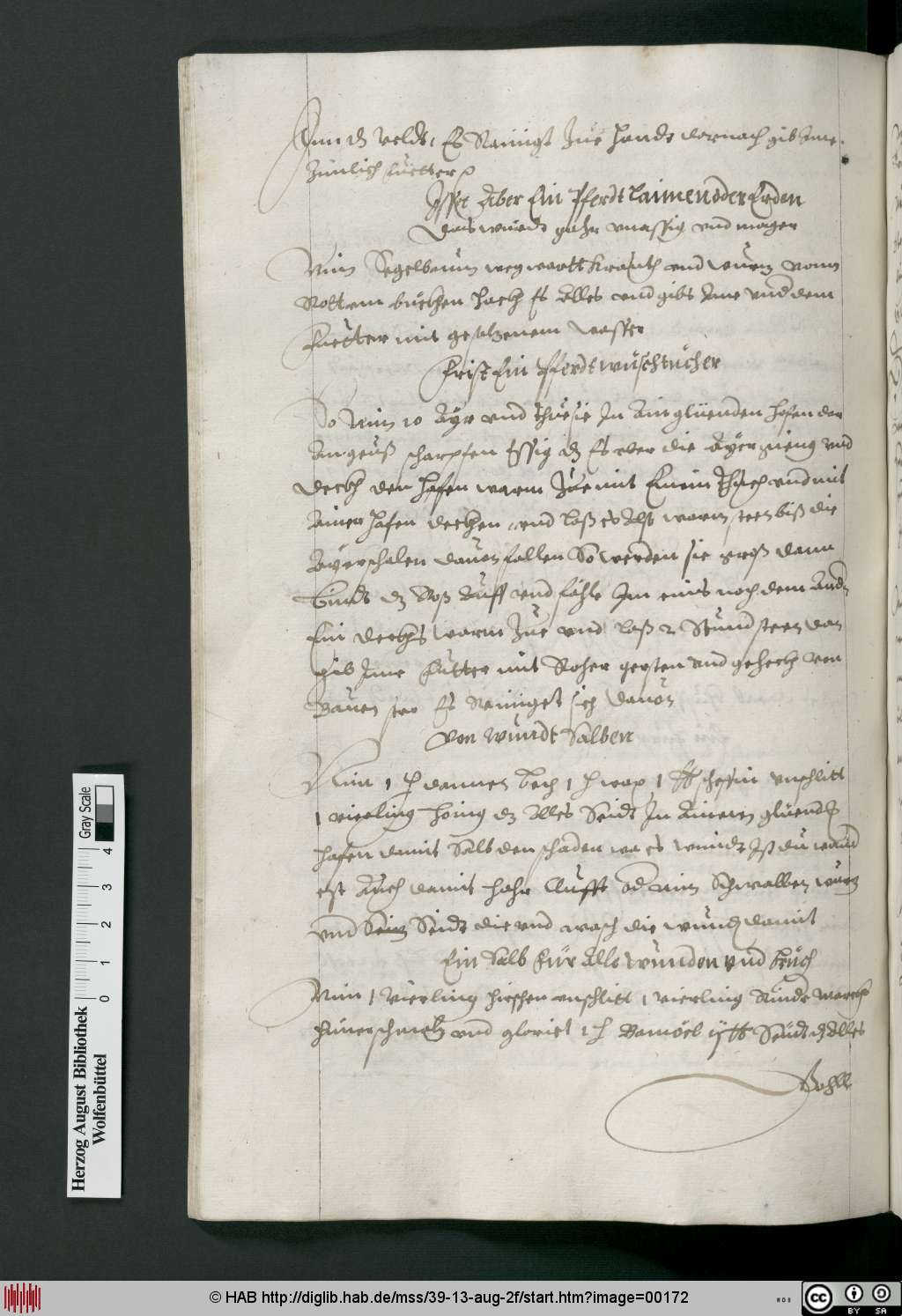 http://diglib.hab.de/mss/39-13-aug-2f/00172.jpg