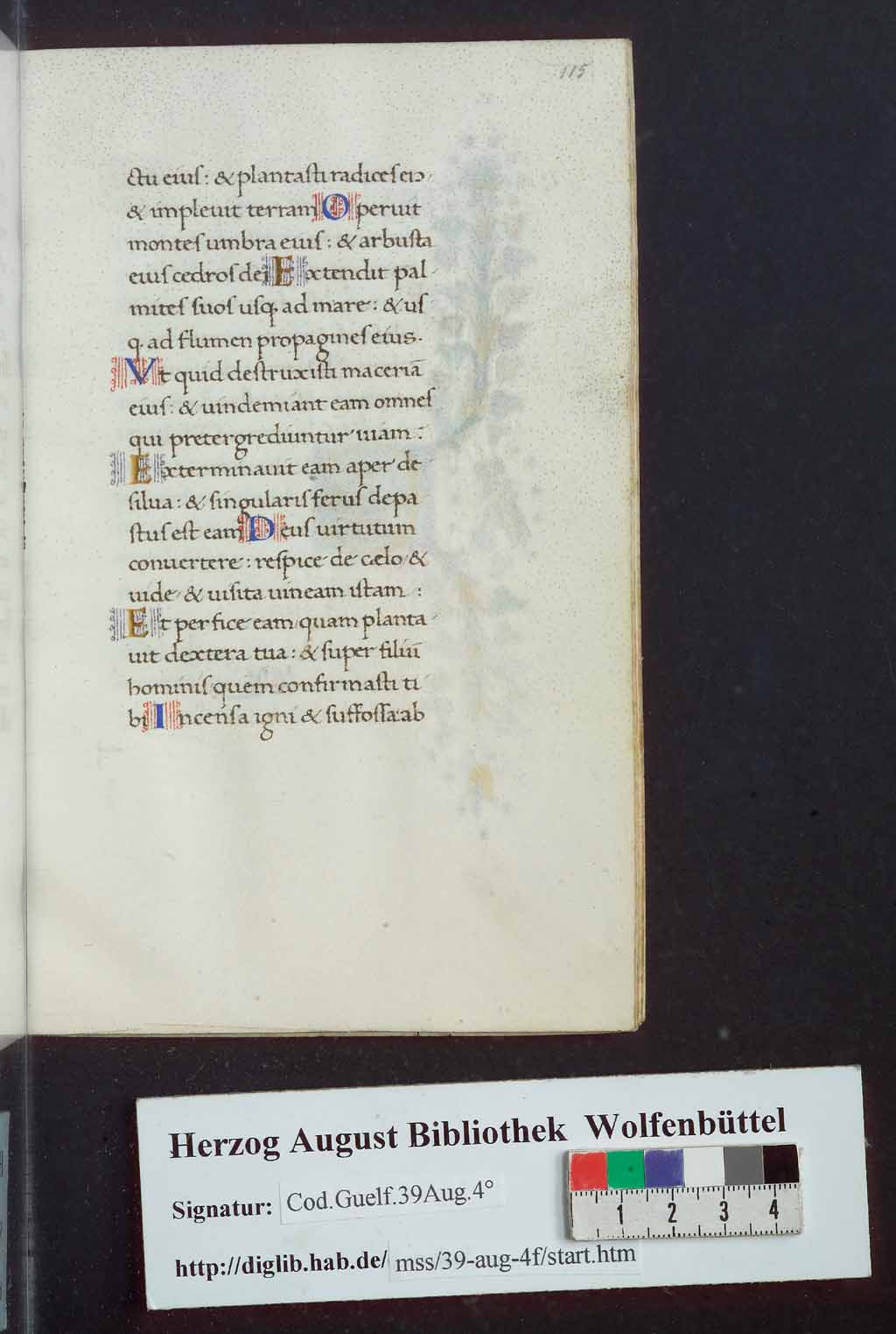 http://diglib.hab.de/mss/39-aug-4f/00237.jpg