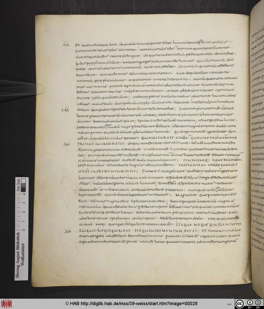 http://diglib.hab.de/mss/39-weiss/00028.jpg