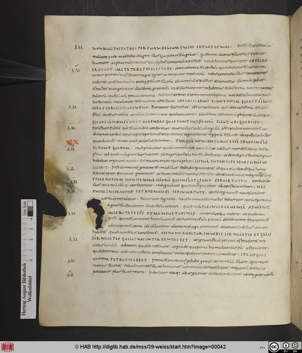 http://diglib.hab.de/mss/39-weiss/00042.jpg