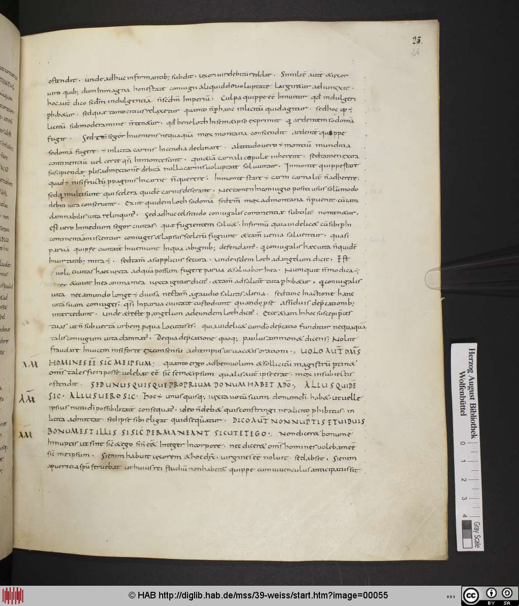 http://diglib.hab.de/mss/39-weiss/00055.jpg