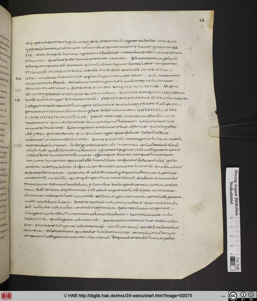 http://diglib.hab.de/mss/39-weiss/00075.jpg