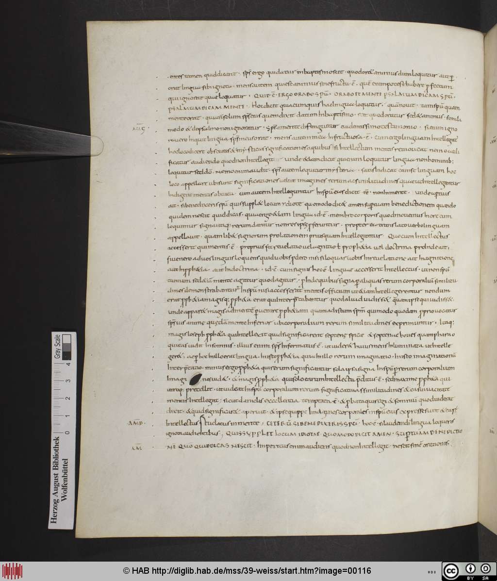 http://diglib.hab.de/mss/39-weiss/00116.jpg