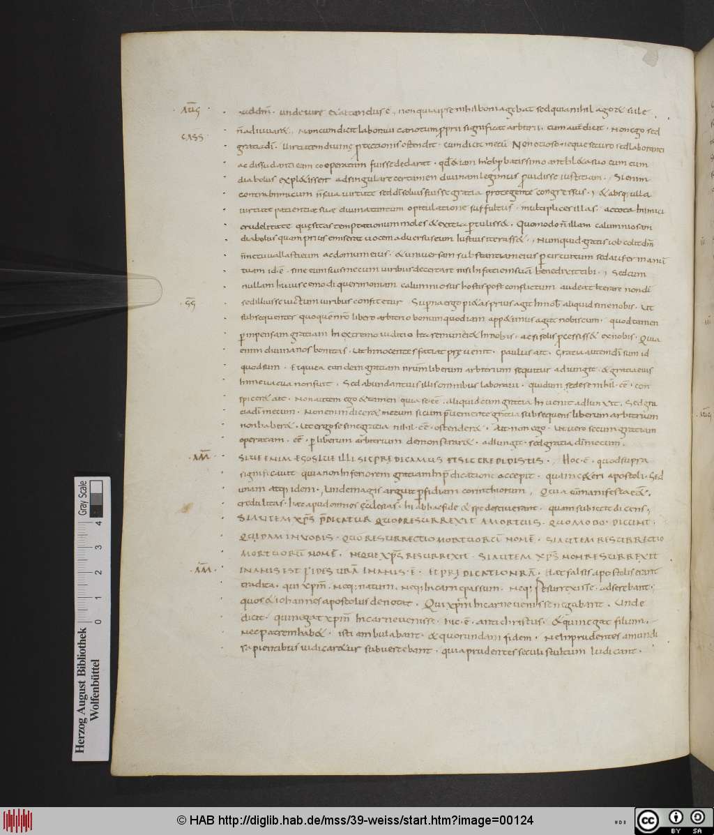 http://diglib.hab.de/mss/39-weiss/00124.jpg