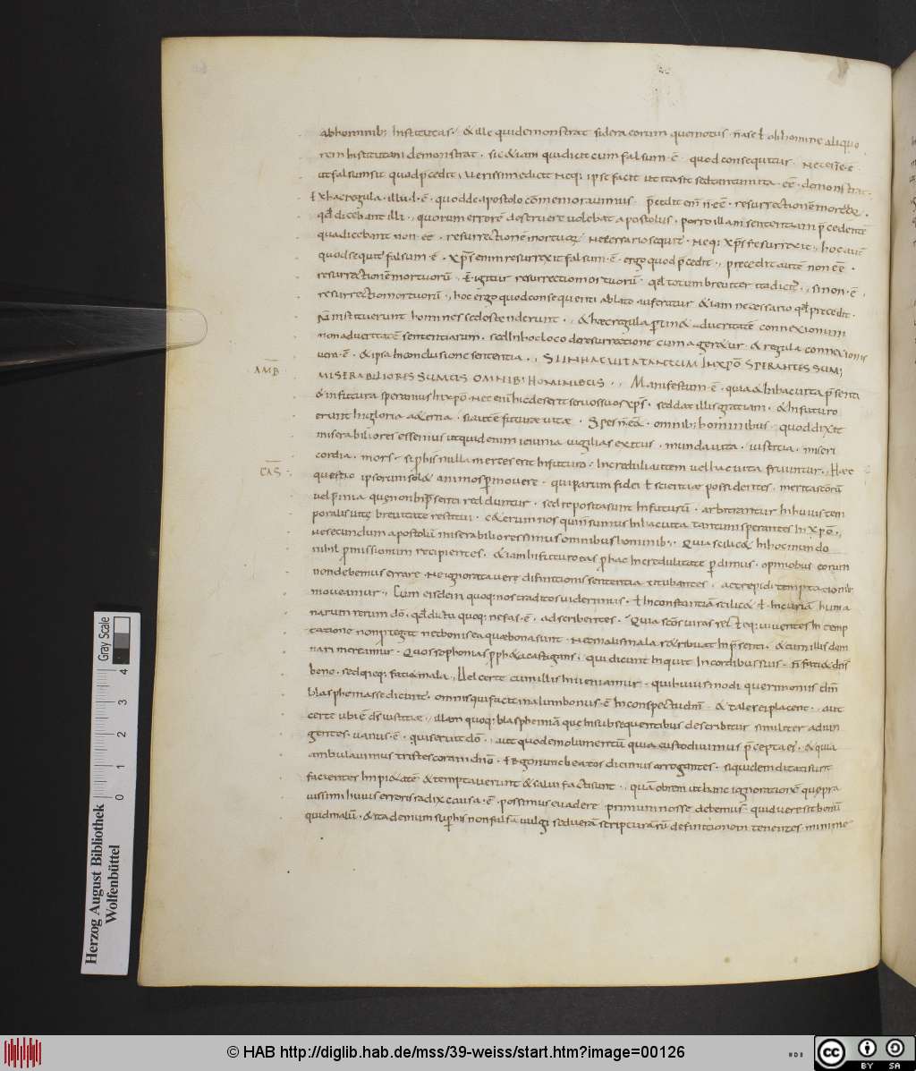 http://diglib.hab.de/mss/39-weiss/00126.jpg