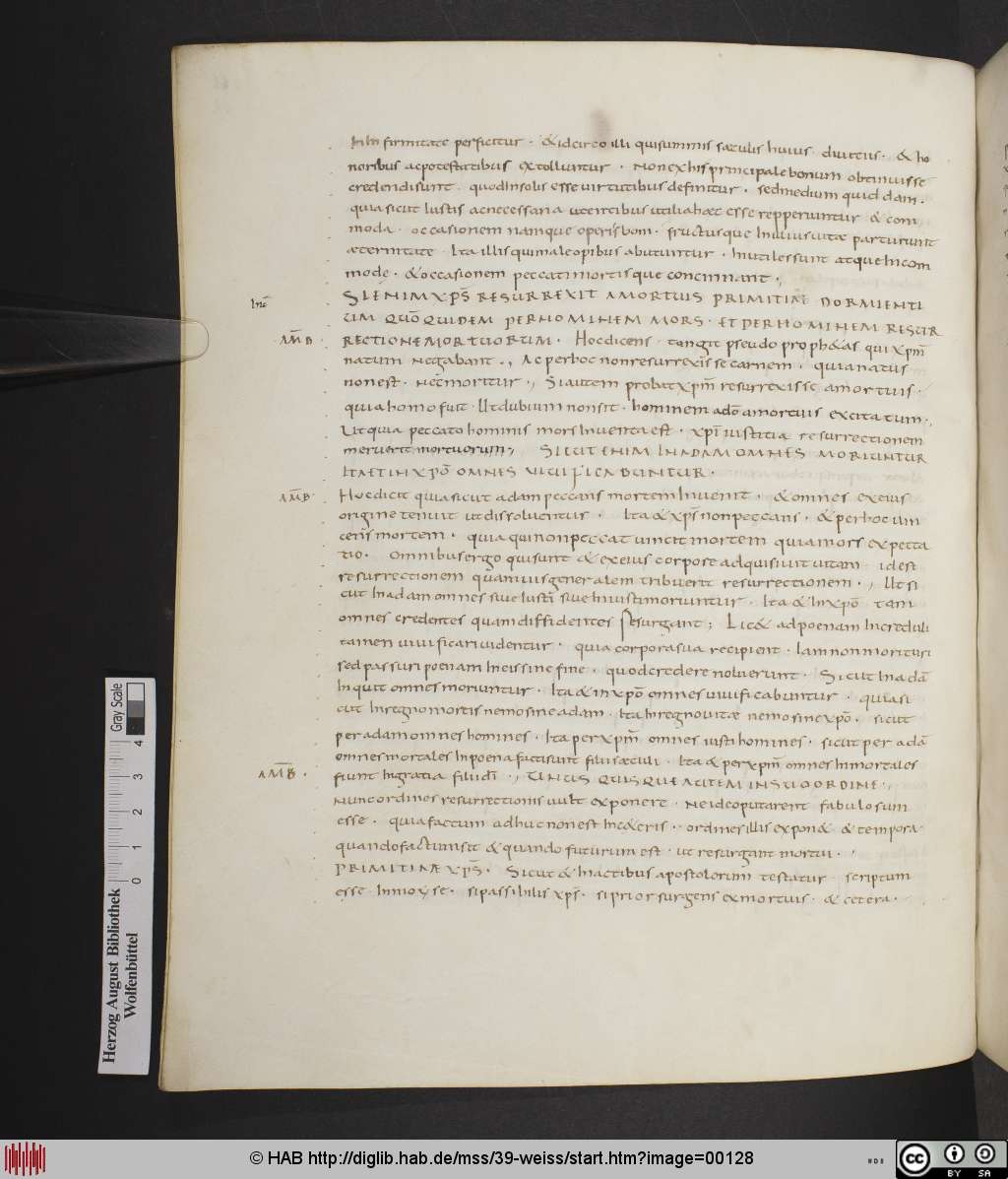 http://diglib.hab.de/mss/39-weiss/00128.jpg