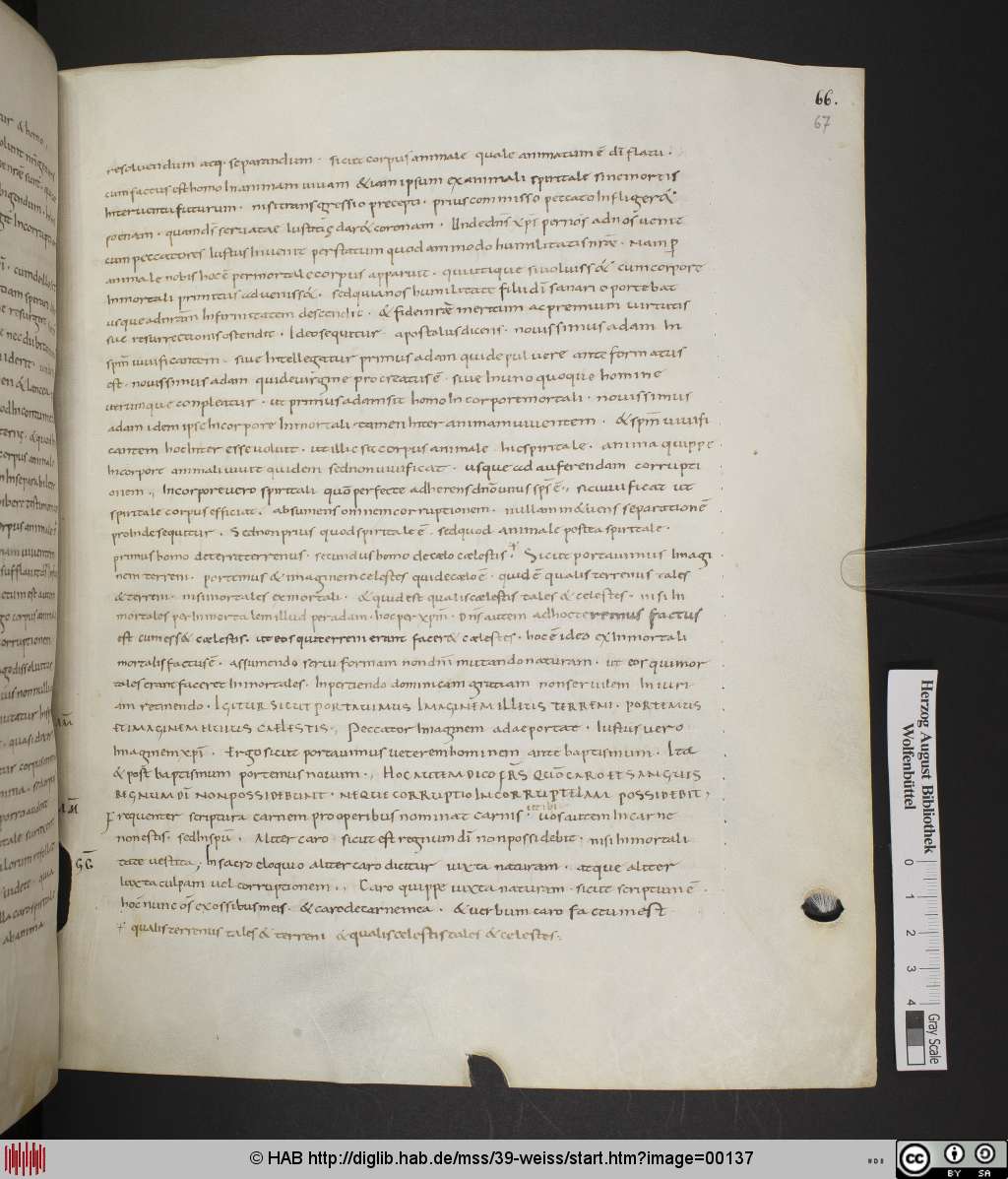 http://diglib.hab.de/mss/39-weiss/00137.jpg