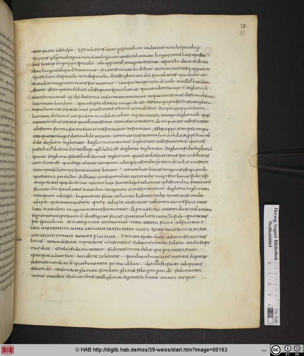 http://diglib.hab.de/mss/39-weiss/00163.jpg