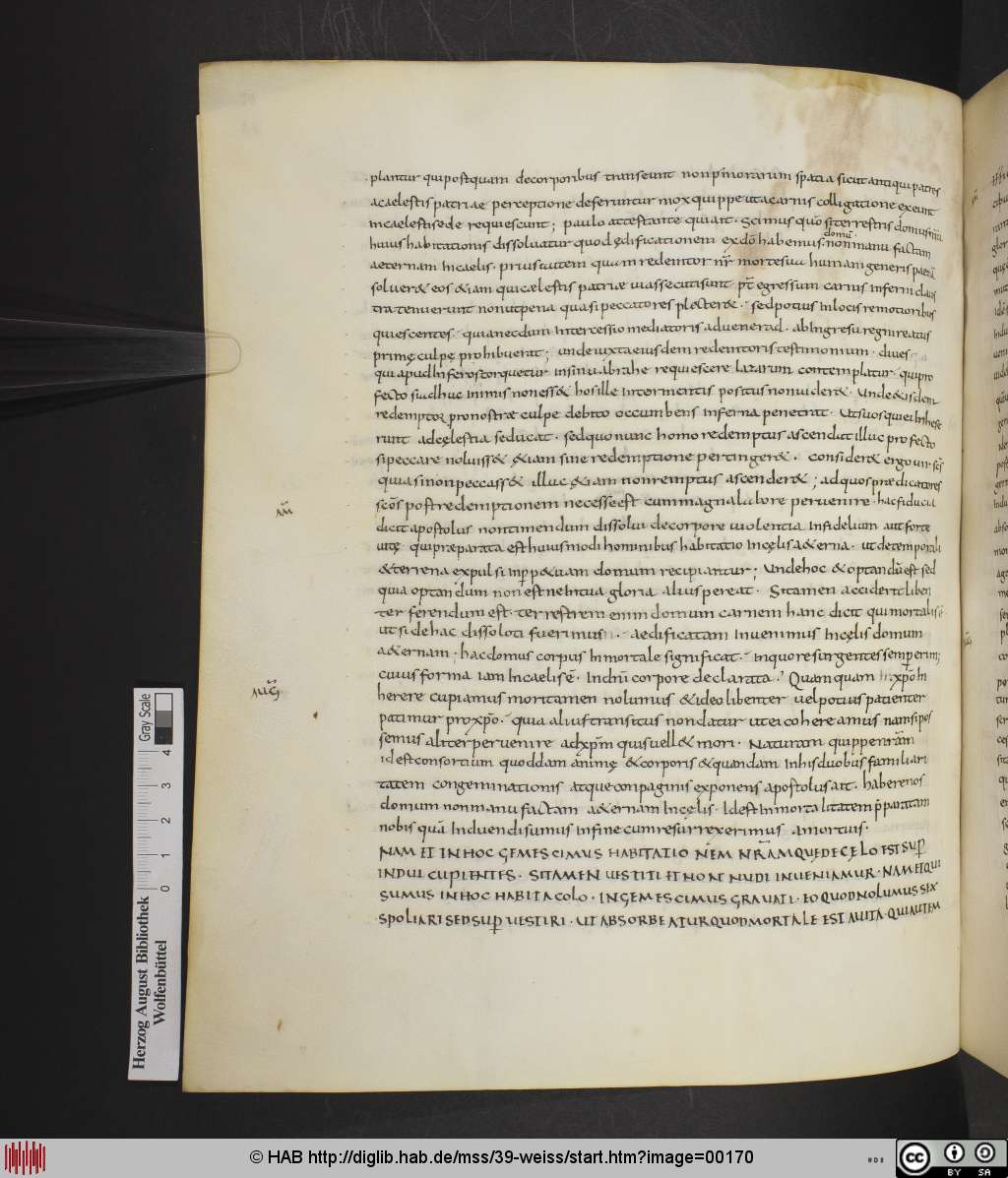 http://diglib.hab.de/mss/39-weiss/00170.jpg