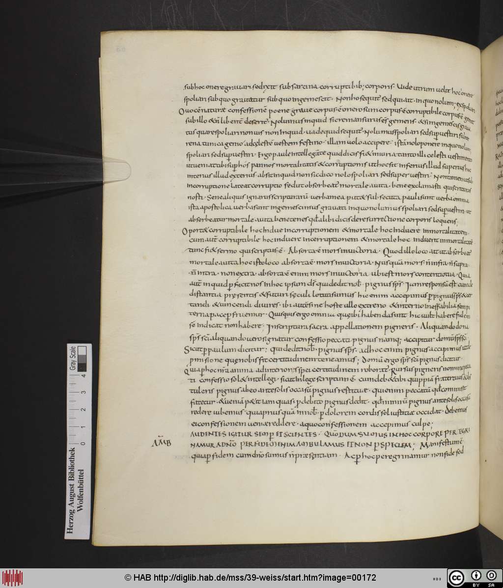 http://diglib.hab.de/mss/39-weiss/00172.jpg