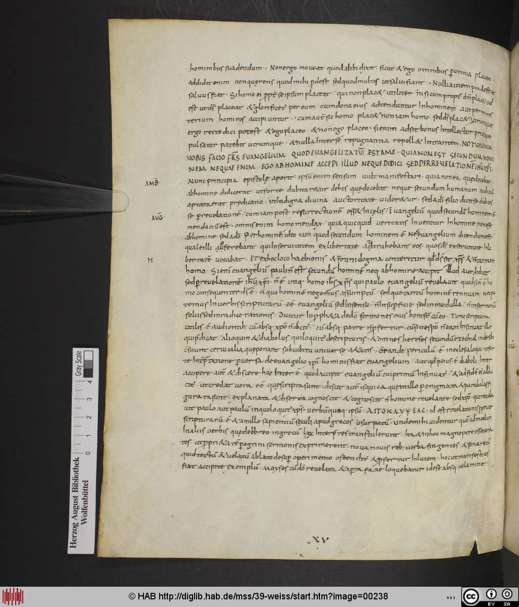 http://diglib.hab.de/mss/39-weiss/00238.jpg