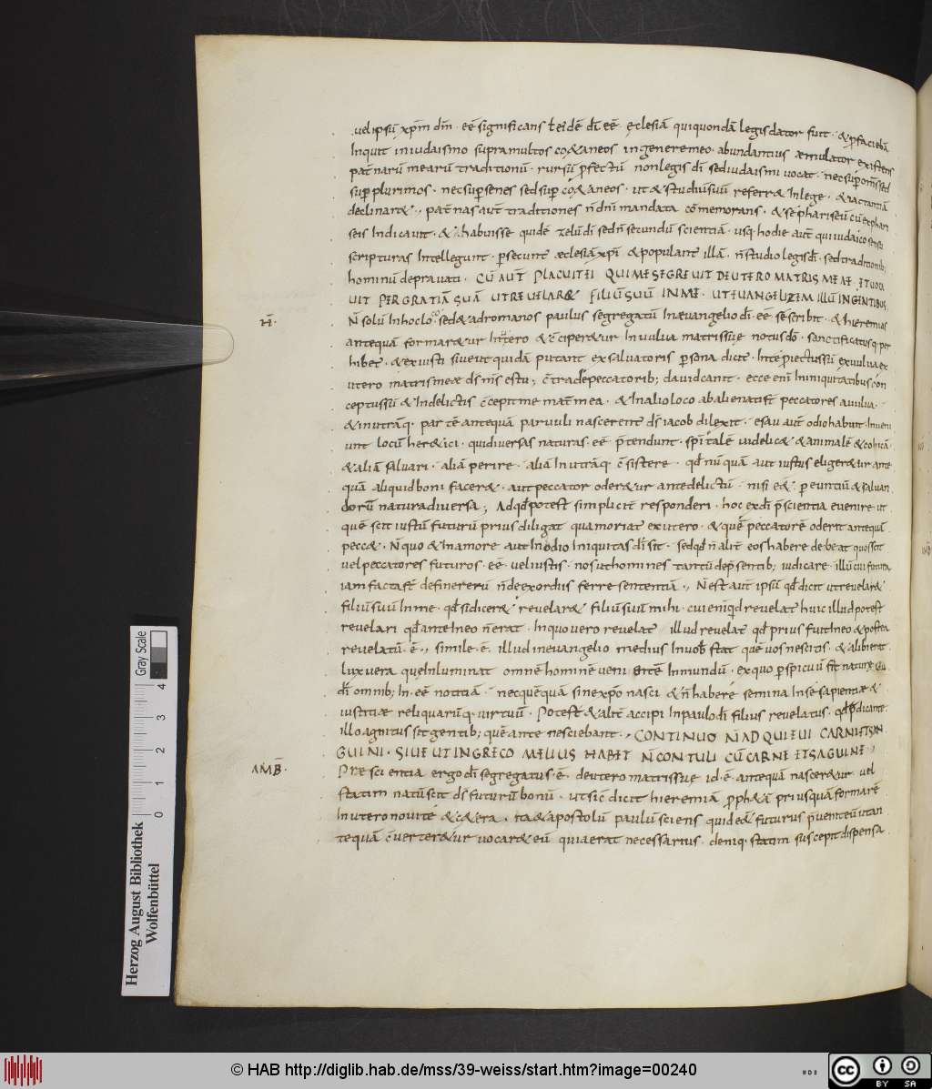 http://diglib.hab.de/mss/39-weiss/00240.jpg