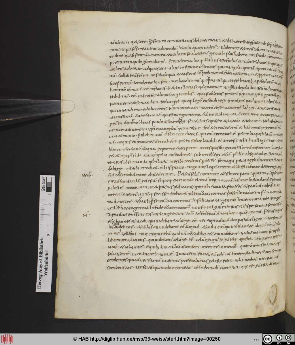 http://diglib.hab.de/mss/39-weiss/00250.jpg