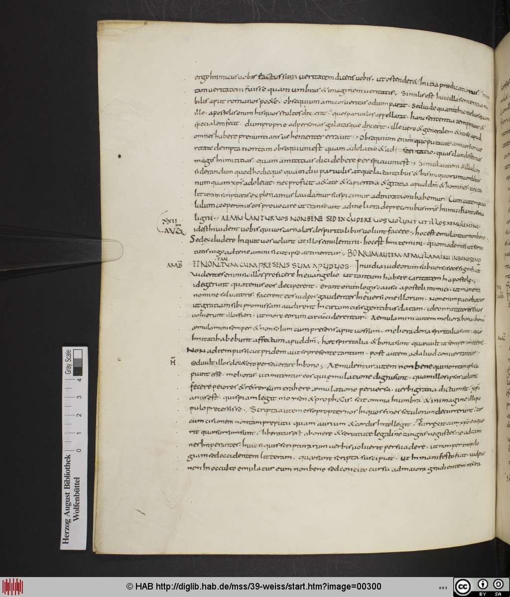 http://diglib.hab.de/mss/39-weiss/00300.jpg