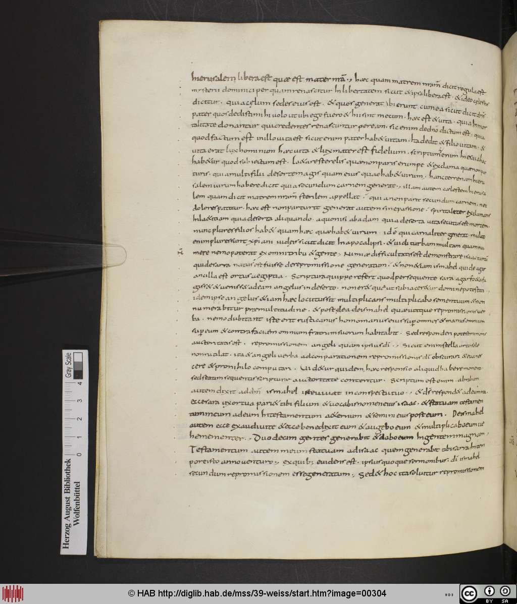 http://diglib.hab.de/mss/39-weiss/00304.jpg